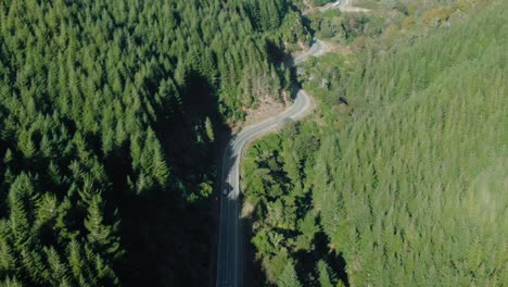 Tilt-reveal-following-car-on-windy-forest-road