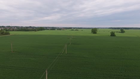 Strommastleitungen-In-Grünen-Landwirtschaftlichen-Feldern.-Luftbild-Richtiges-Filmmaterial