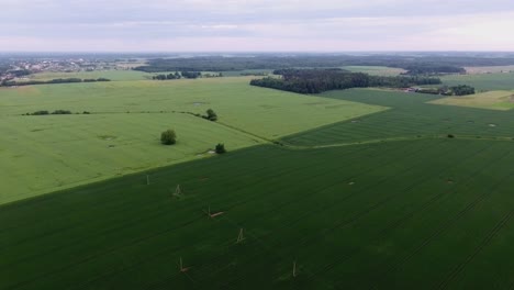 Strommastleitungen-In-Grünen-Landwirtschaftlichen-Feldern.-Luftaufnahmen-Nach-Vorn