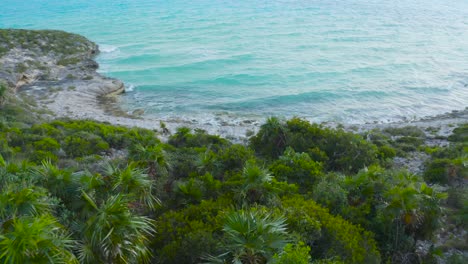 Luftbild-über-Schöne-Palmen-Und-Wellen-Auf-Dem-Blauen-Meer-Auf-Den-Turks--Und-Caicosinseln,-4k