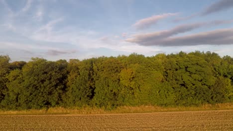 Slowly-following-the-dense-tree-line-before-revealing-beautiful-goldern-farmland-1