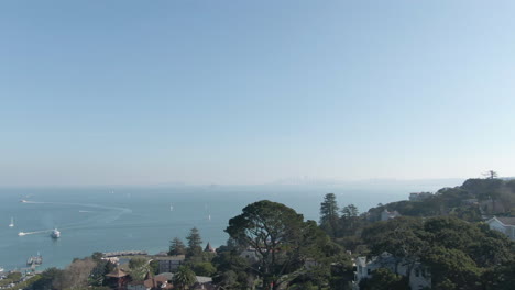 Enthüllt-Die-Skyline-Von-San-Francisco-Durch-Die-Bäume-Von-Sausalito-In-North-Bay