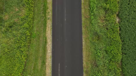 Aerial-view-of-a-straight-road-going-across-a-farmer's-field-full-of-corn-and-vegetables-with-farms-on-the-side