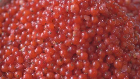 Close-Up-Of-Harvested-Redcurrant-Red-Currant-Berries