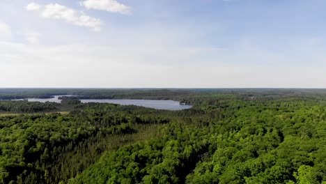 Flying-over-a-green-forest-toward-beautiful-blue-lake-in-the-distance