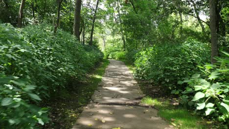 Ein-Spaziergang-Durch-Das-Naturschutzgebiet-Auf-Einem-Betonweg,-Umgeben-Von-üppigen-Grünen-Bäumen-Und-Vegetation