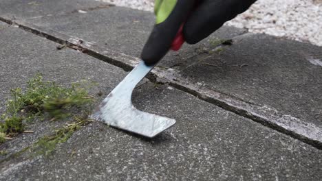 Removing-weeds-between-pavers-with-a-cape-cod-weeder,-close-up-shot