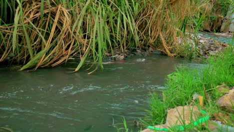 Un-Río-Contaminado-En-Un-Barrio-Pobre-Africano-En-Kenia-Conocido-Como-Barrios-Marginales-De-Mathare-Donde-Los-Lugareños-Arrojan-Todos-Los-Desechos-De-Sus-Casas-Y-El-Cambio-Climático-Ha-Sido-Un-Factor-Que-Contribuye-A-Su-Contaminación