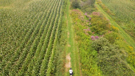 Rising-Aerial-Crane-Shot-at-New-England-farm-with-man-walking-on-path