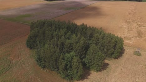 Fußform-Silhouette-Kleiner-Laubwaldfleck-Auf-Landwirtschaftlichen-Feldern