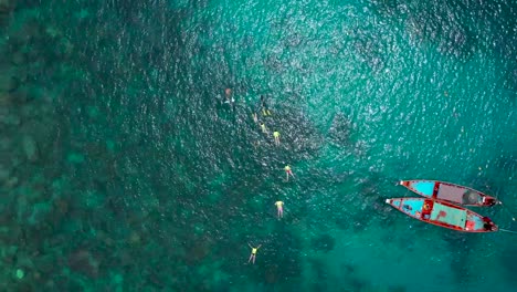 Drone-aerial-birds-eye-view-of-snorkellers-swimming-over-coral-reef-zooming-out-in-Koh-Tao,-Thailand