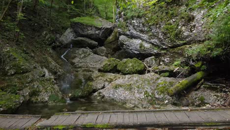 Kleiner-Wasserlauf-Mitten-Im-Wald-Mit-Einem-Schönen-Weg-über-Den-Kleinen-Fluss