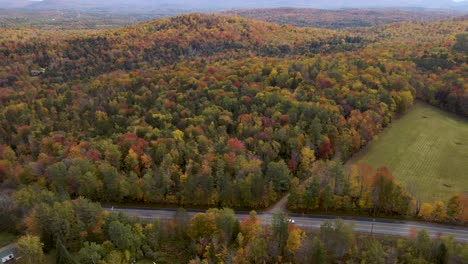 Autumn-Concept---Beautiful-Fall-Colors-of-New-England-Trees-in-Forest---Static-Aerial-Drone-Overhead-View