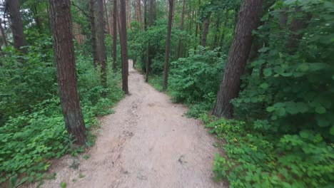Hiking-Trail-in-the-Green-Forest.-Moving-Backwards