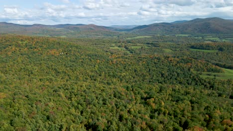 Evergreen-Forest-Nature-Landscape-Scene-in-New-England-Wilderness---Aerial-establishing-Panning-View