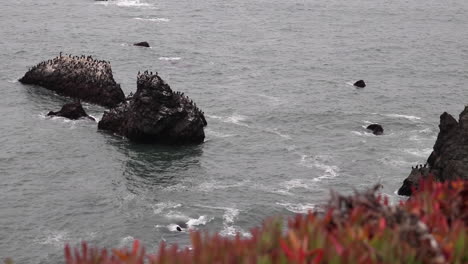 Water-crashing-into-the-rocks-on-the-Northorn-California-Cliffside-on-a-dreary,-foggy,-dark-summer-afternoon