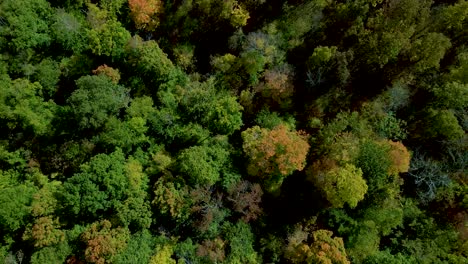 Green-Environment-in-Forest-Climate-of-New-Hampshire,-USA---Aerial-overhead-Drone-Top-View