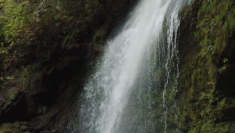 Biwa-Waterfall-Trail---Mount-Takao