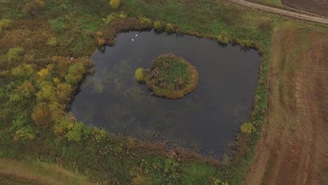 Square-Water-Pond-With-Small-Circular-Island-1