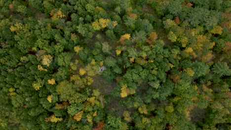 Dense-Wilderness-Forest-Foliage-of-New-Hampshire,-United-States---Overhead-Aerial-Perspective