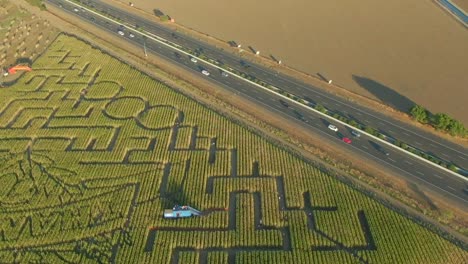 Guinness-buch-Der-Weltrekorde-Größtes-Maislabyrinth-In-Dixon-Kalifornien-Diagonale-Dronansicht-Des-Gesamten-Labyrinths