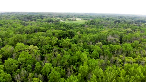 Aerial-view-of-green-forest-and-grassy-clearing-at-UW-Parkside