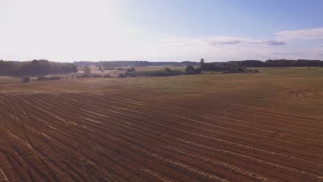 Abgeerntete-Felder-An-Einem-Sonnigen-Sommermorgen