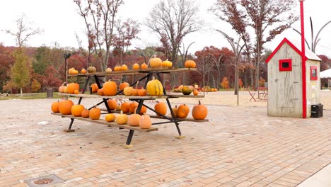 Pumpkins-for-sale-in-urban-park-in-Altoona,-Wisconsin