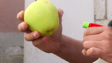 Cleaning-and-disinfected-an-apple-during-the-COVID-19-pandemic,-detail-shot