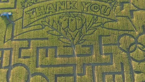 Guinness-buch-Der-Weltrekorde-Größtes-Maislabyrinth-In-Dixon-Kalifornien-Drohne-Ansicht-Der-Dankesbotschaft