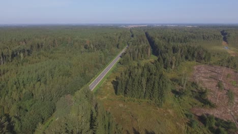 Abgeholzter-Waldabschnitt-In-Der-Nähe-Der-Straße.-Luftaufnahmen