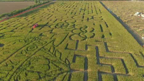 Guinness-buch-Der-Weltrekorde-Größtes-Maislabyrinth-In-Dixon-Kalifornien-Drohne-Drift-Des-Ganzen-Labyrinths