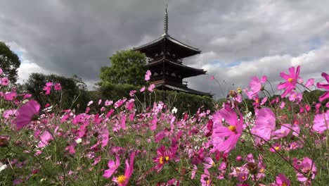 Hokki-ji-Temple---Ikaruga,-Japan
