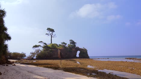 Lakshmanpur-beach-no-2-and-the-coral-bridge-on-Neil-island,-Andaman-and-Nicobar-islands,-India,-during-low-tide