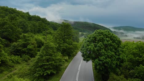 Car-Passing-By-The-Rural-Road-On-A-Cloudy-Day---aerial