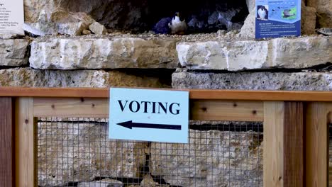 Voting-sign-with-an-arrow-pointing-to-polling-location