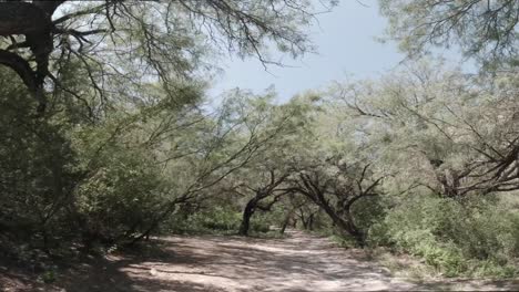 El-Parque-Estatal-Cañón-De-Fernandez-Es-Un-área-Natural-Protegida-En-El-Norteño-Estado-Mexicano-De-Durango