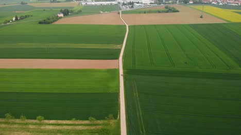 Aerial-view-of-people-walking-on-a-rural-road,-surrounded-by-countryside-fields,-in-Bad-Weilbach,-Germany---tilt-up,-drone-shot