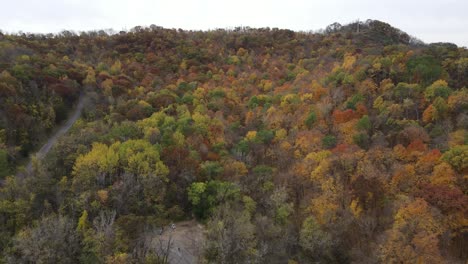 Aerial-view-of-a-fall-forest-trees-on-the-mountain