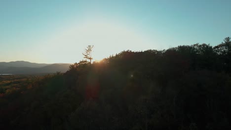 Aufsteigende-Antenne-Bei-Sonnenuntergang,-Beginnend-Unter-Bäumen,-Sonne-In-Der-Ferne-Aufdeckend