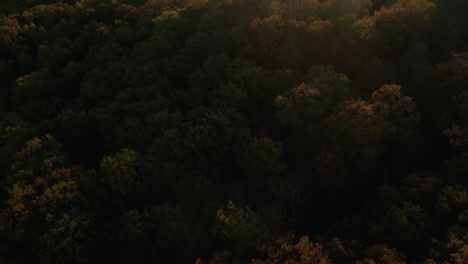 Aerial-towards-golden-hour-sunset,-tilt-down-to-show-trees,-stunning-fall-foliage