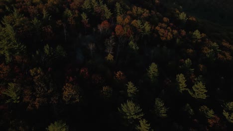 Aerial-flyover-of-beautiful-fall-foliage-on-mountainside,-New-Hampshire