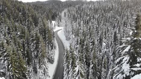 Curvy-windy-road-in-snow-covered-forest,-top-down-aerial-view-4