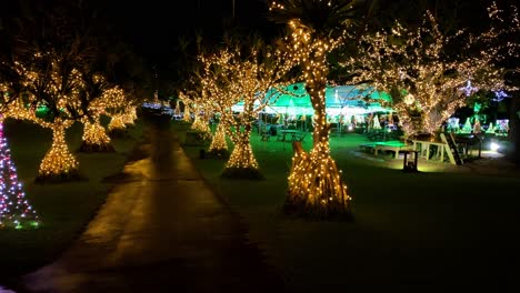 4khd-Navidad-2020-Jardín-Botánico-Okinawa-Japón-8