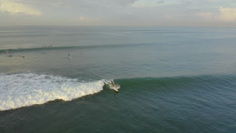 Aerial-view-of-athlete-riding-a-surfboard-on-a-wave-in-a-tropical-location
