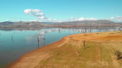 Aerial-view-over-dry,-dead-trees-and-the-mirroring-Hume-lake,-sunny-day,-in-Victoria,-Australia---dolly,-drone-shot