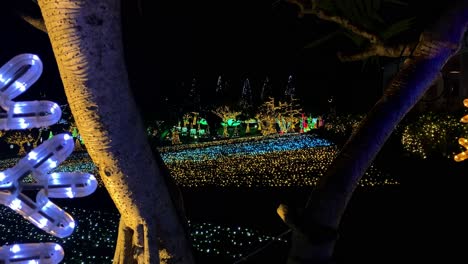 4khd-Navidad-2020-Jardín-Botánico-Okinawa-Japón-9