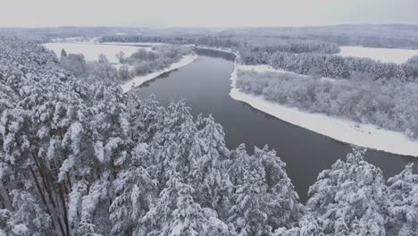 The-Neris-River-Meanders-Through-The-Snowy-Forest-in-Winter-2