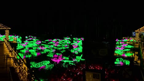 4KHD-Christmas-2020-Botanical-Garden-Okinawa-Japan-3