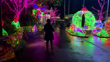 4KHD-Christmas-2020-Botanical-Garden-Okinawa-Japan-18